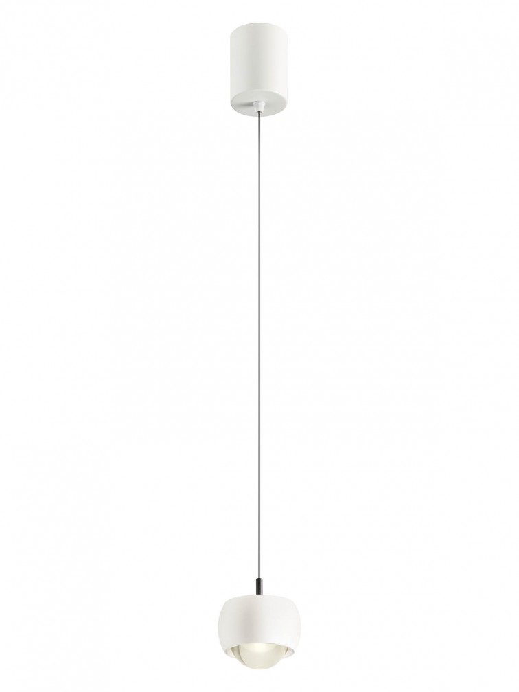 Aves - Art. 01-3546