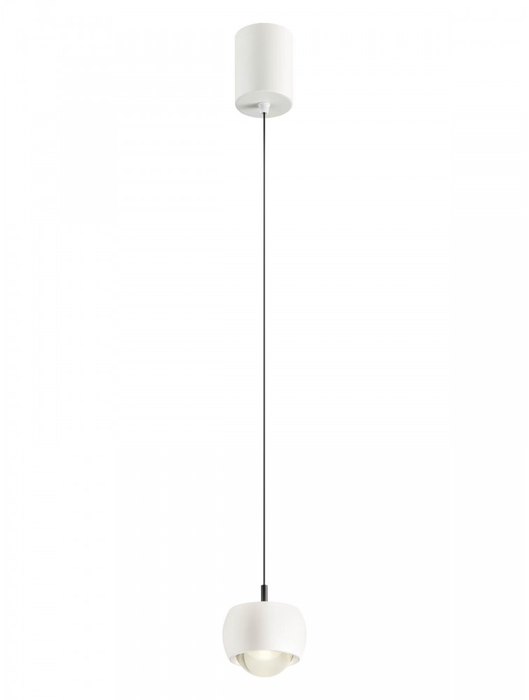 Aves - Art. 01-3546